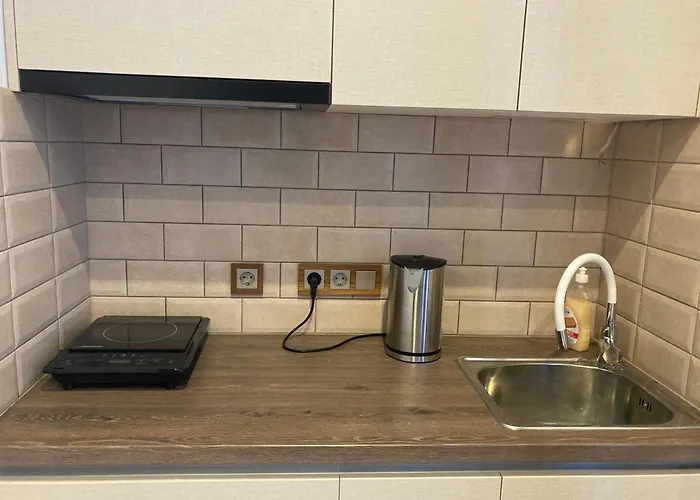 Dzīvoklis & Central, Specious, Superior Apartment, Brand New Riga